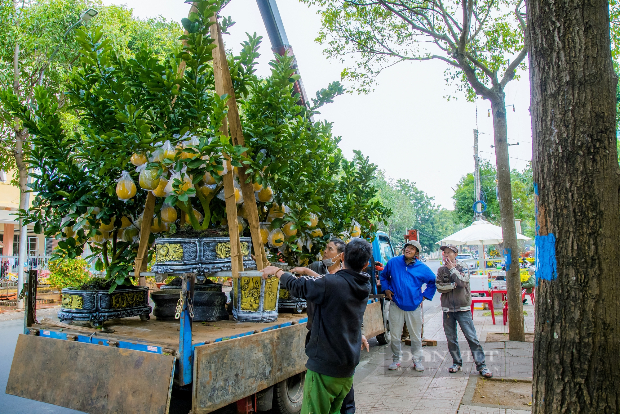 Khung cảnh Chợ hoa Xuân Ất Tỵ  Buôn Ma Thuột - Ảnh 6.